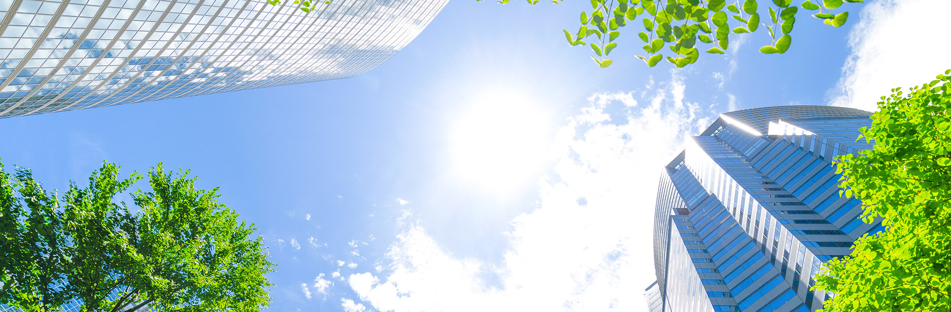 致力污水廢水處理服務(wù)